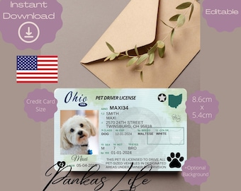 May include: A printable pet driver's license template for a dog. The template features a white dog with brown eyes and a brown nose. The license is for a Maltese White dog named Maxi. The license is 8.6 cm by 5.4 cm.