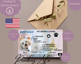 May include: A printable Kentucky pet driver's license template with a white dog photo, the text "Maxi-000", "Smith", "Maxi", "24th Street", "Frankfort, KY 40622", "05/04/2019", "31/12/2024", "Class Dog", "Breed Maltese", "Color White", "01/01/2024", "Sex M", "Hgt 7", "Eyes Bro", and "This pet is licensed to drive all pet-sized vehicles in designated areas under owner supervision".