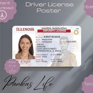 Illinois-rijbewijsposter voor kinderen, Amerikaans rijbewijssjabloon, afdrukbaar speelgoed bewerkbare muurdecoratie 37,18 x 23,32
