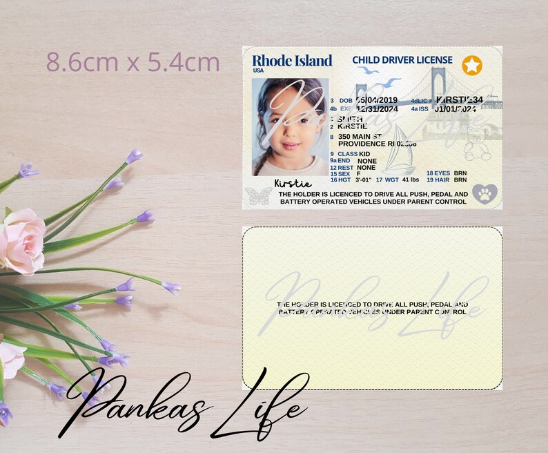 Pretend Play Usa Driver License for Kids, Rhode Island Driving Licence ...