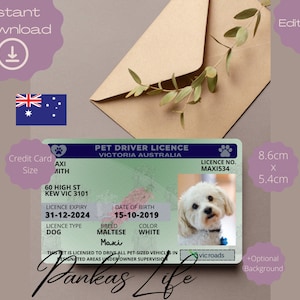 Bewerkbare fantasiespel Victoria Australia huisdier rijbewijs sjabloon rijbewijs dier afdrukbaar speelgoed licentie honden rijbewijs huisdier-ID