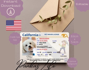 Editable Pretend Play Usa Driver Licence For Pets California Driving Licence Template Animal Printable Toy Licence Dog Driver License Pet Id