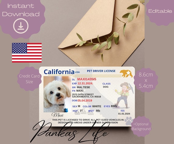 Pet driver's license id discount
