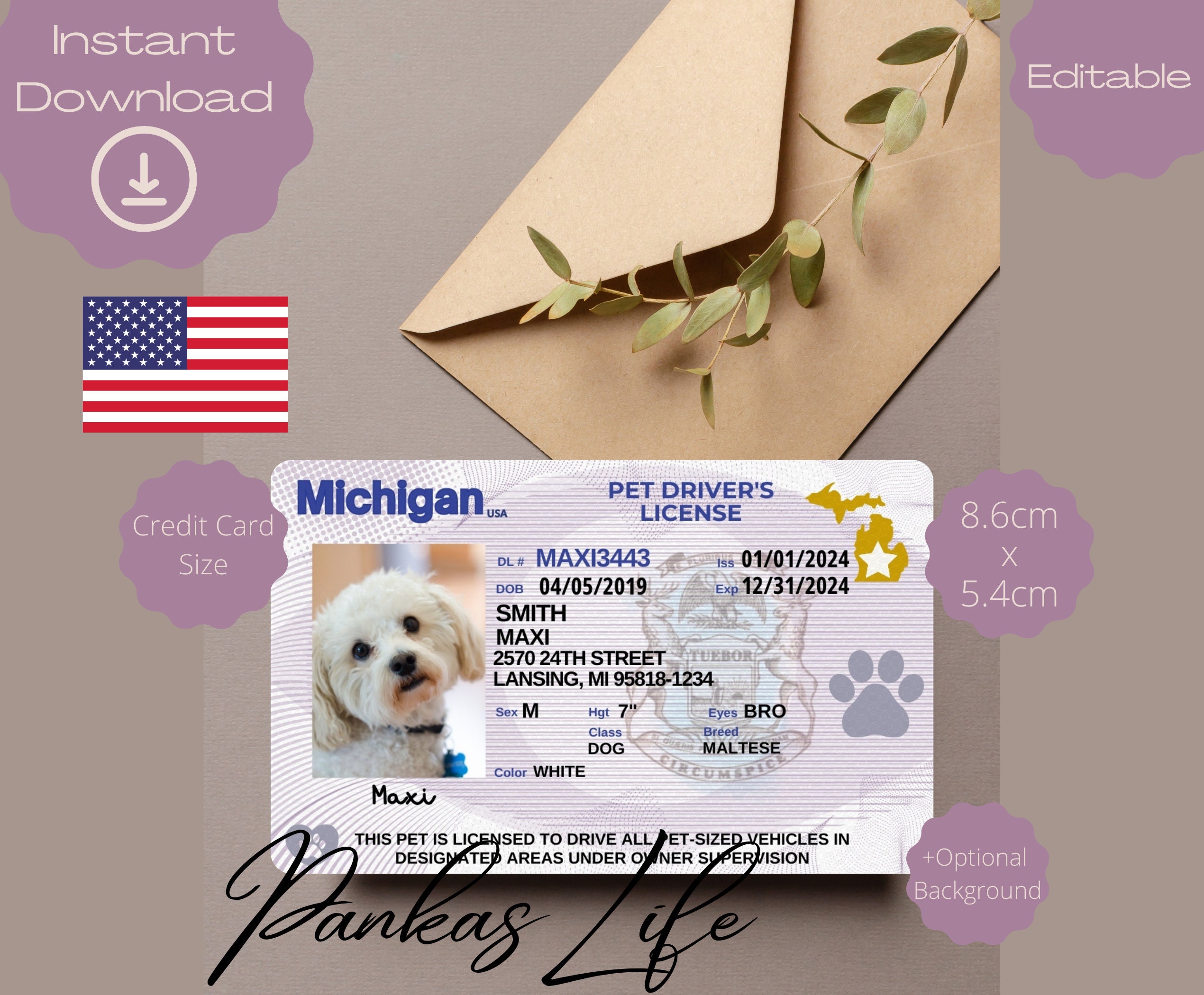Editable Pretend Play Usa Driver Licence for Pets, Michigan