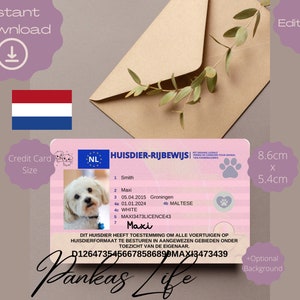 Bewerkbaar Nederlands rijbewijs voor huisdieren, Nederlandse rijsjabloon, afdrukbaar speelgoedlicentie dieren, hondenrijbewijs, huisdier-ID