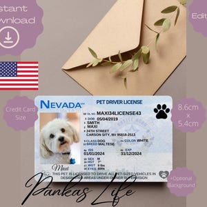 Bewerkbare Pretend Play Usa rijbewijs voor huisdieren, Nevada rijbewijssjabloon, afdrukbare dierenspeelgoedlicentie, hondenrijbewijs huisdier-ID
