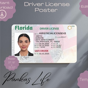 Florida-rijbewijsposter voor kinderen, Amerikaans rijbewijssjabloon, afdrukbaar speelgoed bewerkbare muurdecoratie 37,18 x 23,32