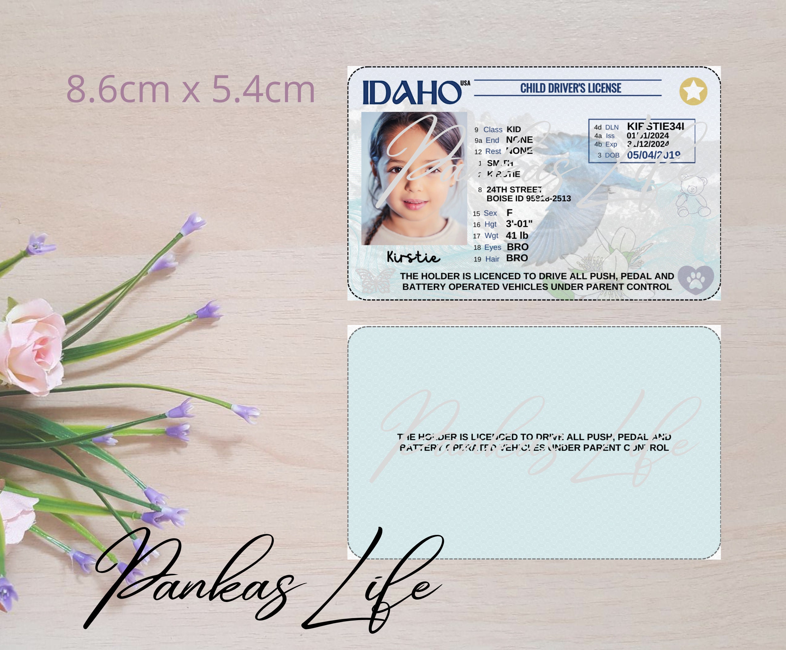 Pretend Play Usa Driver License for Kids, Idaho Driving Licence ...