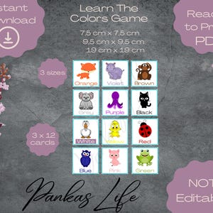 Tarjetas didácticas para aprender los colores, tarjetas didácticas para enfermería, educación para bebés, actividades preescolares, enseñanza de los colores para bebés, jardín de infantes