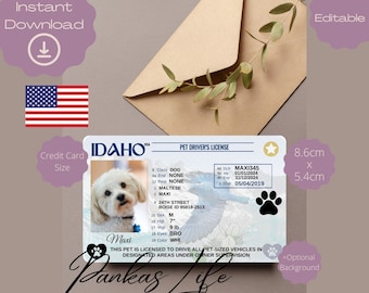 May include: A pet driver's license design featuring a photo of a Maltese dog named Maxi. The license includes details like the dog's weight (9 lb), height (7 inches), and eye color (brown). The license is credit card size, 8.6cm x 5.4cm.