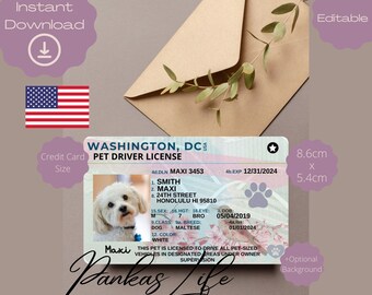 May include: A printable pet driver's license template featuring a white Maltese dog with a pink paw print. The license is 8.6 cm by 5.4 cm and includes fields for the pet's name, breed, and owner information.