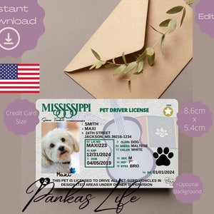 Bewerkbare Pretend Play Usa-rijbewijs voor huisdieren, Mississippi-rijsjabloon, afdrukbaar speelgoedlicentie dieren, hondenrijbewijs, huisdier-ID