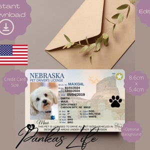 Bewerkbare fantasiespel VS rijbewijs voor huisdieren, Nebraska rijbewijssjabloon dier afdrukbaar speelgoed licentie hond rijbewijs huisdier-ID