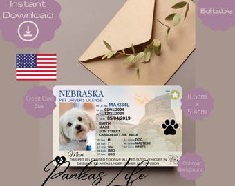 May include: A mock pet driver's license for a dog named Maxi. The license is from Nebraska and includes the dog's name, breed, color, and other information. The license is 8.6 cm by 5.4 cm.