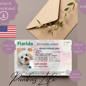 Bearbeitbar Pretend Play USA Führerschein für Haustiere, Florida Führerscheinvorlage, druckbare Spielzeuglizenz Hundeführerschein Haustier-ID