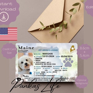 Bewerkbaar Pretend Play Usa-rijbewijs voor huisdieren, Maine-rijsjabloon, afdrukbaar speelgoedlicentie voor dieren, hondenrijbewijs, huisdier-ID