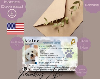 May include: A white pet license card with a photo of a white dog. The card is for a dog named Maxi, and it has the dog's name, breed, and other information on it. The card is 8.6 cm by 5.4 cm.