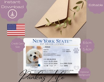 May include: A printable New York State Pet Driver License template featuring a white Maltese dog with a photo, name, and information. The license is 8.6 cm by 5.4 cm and is designed to look like a human driver's license.