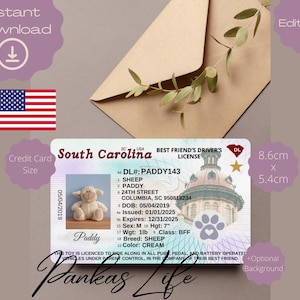 Teddybeer rijbewijs South Carolina reisaccessoires bewerkbare fantasiespel voor kinderen, afdrukbare speelgoedlicentie, tijd voor avontuur, knuffel