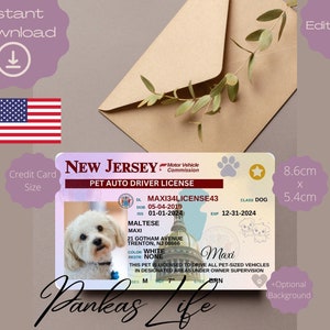 Bewerkbare Pretend Play Usa rijbewijs voor huisdieren New Jersey rijbewijssjabloon afdrukbare dieren speelgoed licentie hond rijbewijs huisdier-ID