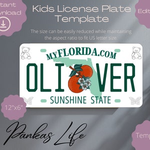Bewerkbare fantasiespel VS kentekenplaat voor kinderen Florida kinderkamer decorsjabloon Afdrukbare stuurprogramma-accessoires, peuterspeelgoed, doe-het-zelf knutselen