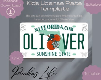 Bearbeitbares Pretend Play USA Nummernschild für Kinder Florida Kinderzimmer Dekor Vorlage Druckbare Fahrer Accessoies, Kleinkind Spielzeug, DIY Handwerk