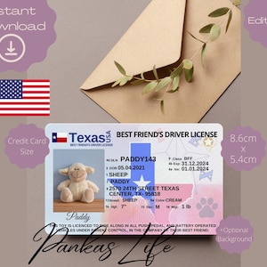 Rijbewijs teddybeer Texas reisaccessoires bewerkbaar fantasiespel voor kinderen, afdrukbare speelgoedlicentie, tijd voor avontuur, reizen plushie