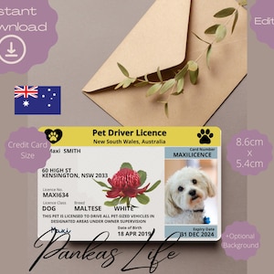Bewerkbare fantasiespel New South Wales huisdier rijbewijs sjabloon rijbewijs afdrukbaar speelgoed dier licentie Honden rijbewijs huisdier-ID