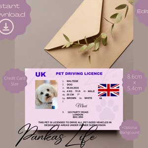 Bewerkbaar Fantasiespel Brits rijbewijs voor huisdieren, Hondenspeelgoed, Afdrukbare kattenspeelgoedkaart, ID-tag voor honden, Producten voor huisdieren, Huisdierspel