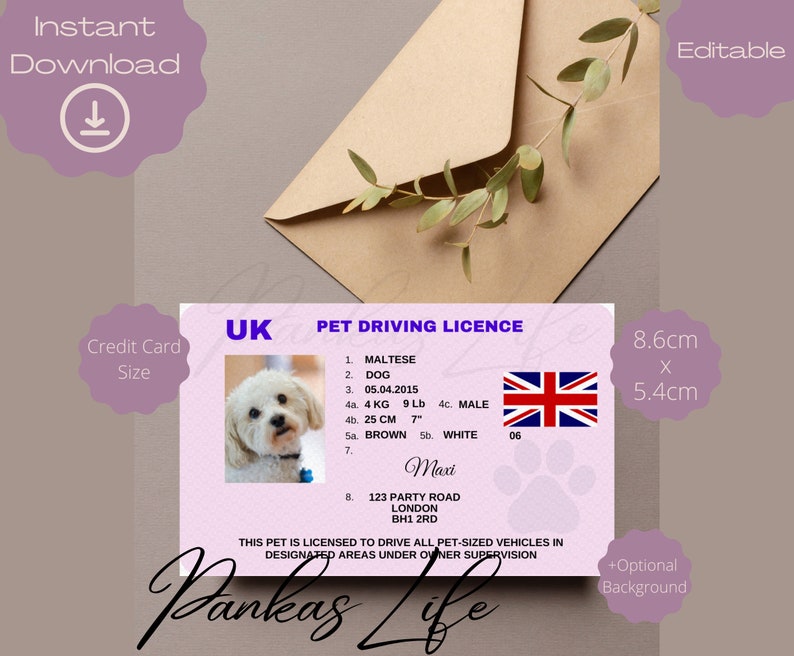 Editable Pretend Play UK Driver Licence for Pets, Driving Licence