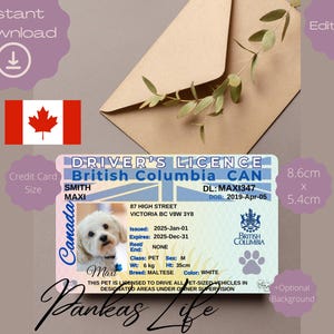 Bewerkbaar fantasiespel Brits-Columbia rijbewijs voor huisdieren Canada rijbewijssjabloon afdrukbaar dier speelgoedlicentie hond huisdier-ID