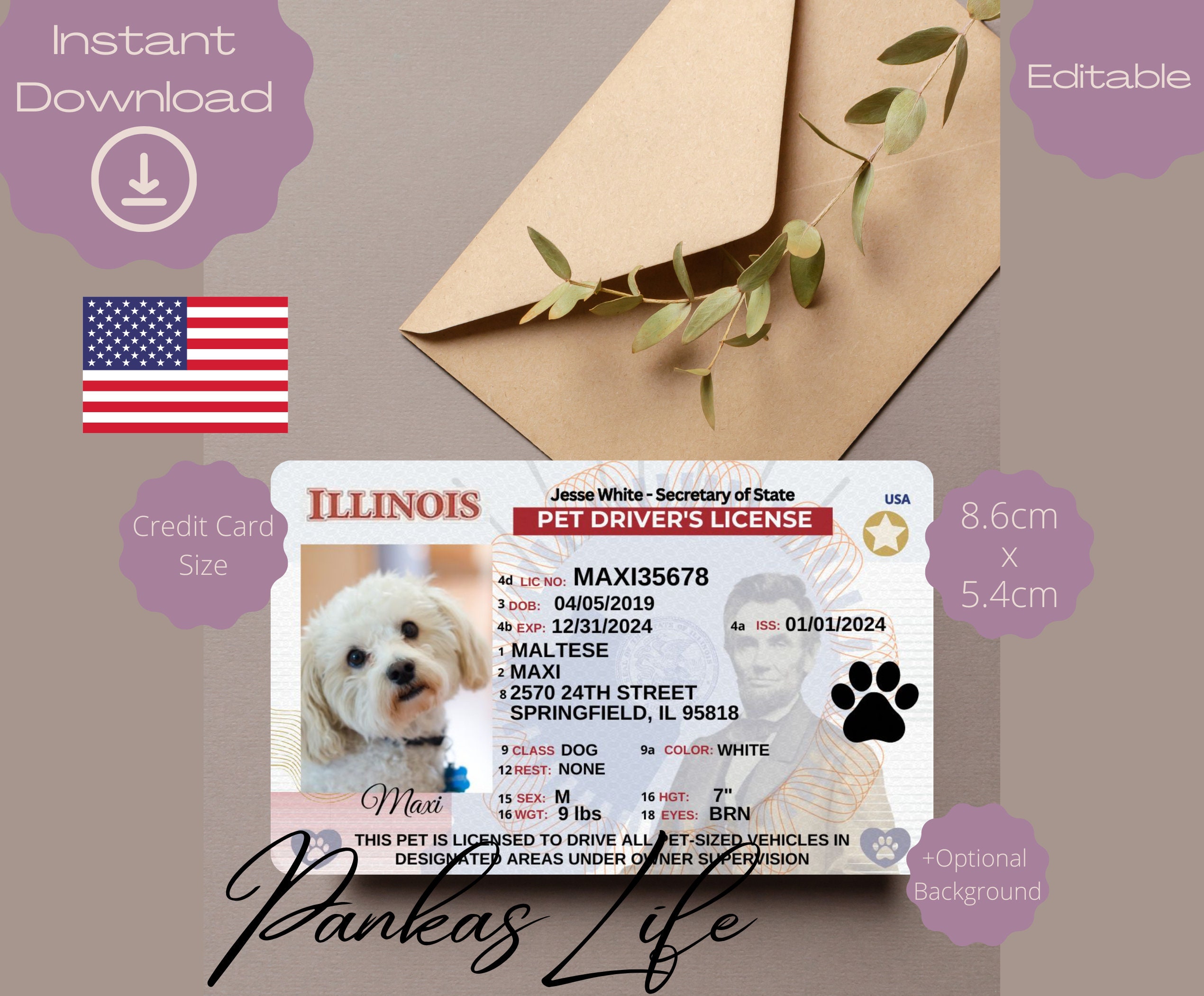 Editable Pretend Play Usa Driver Licence For Pets, Illinois Driving Licence Template Animal Printable Toy Licence, Dog Driver License Pet Id