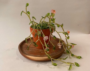 Beaded Forever Plant - Flowering string of teardrops