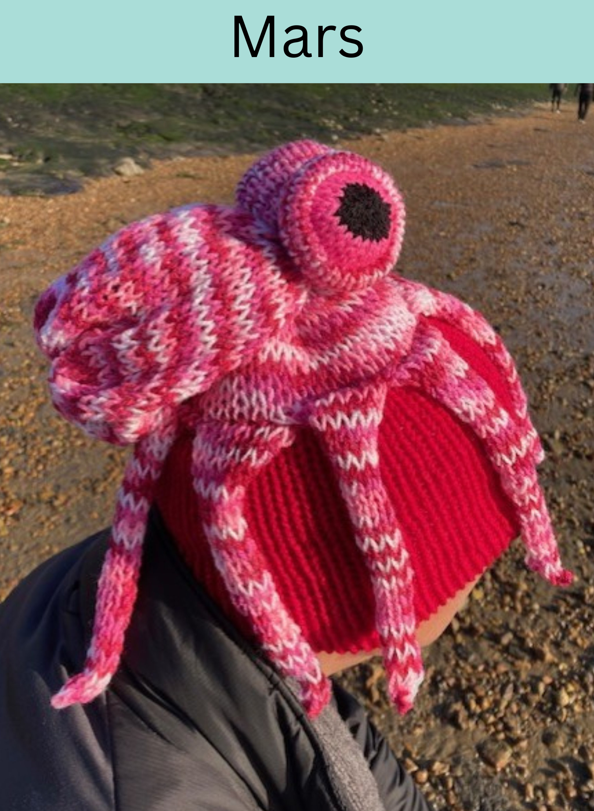 Chapeau tricoté d'hiver Octopus Tentacules Bonnet Drôle casquette chaude  pour adulte unisexe