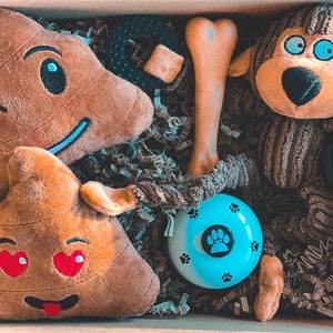 Dog toys Box Most Favorited Toys by Cookie