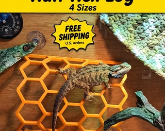 Tronco hexagonal para dragón barbudo: decoración para trepar en terrarios de reptiles.