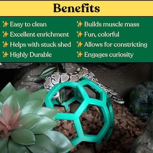 Python Playground: Snake & Boa Constrictor Enrichment Jungle Gym Bild 3