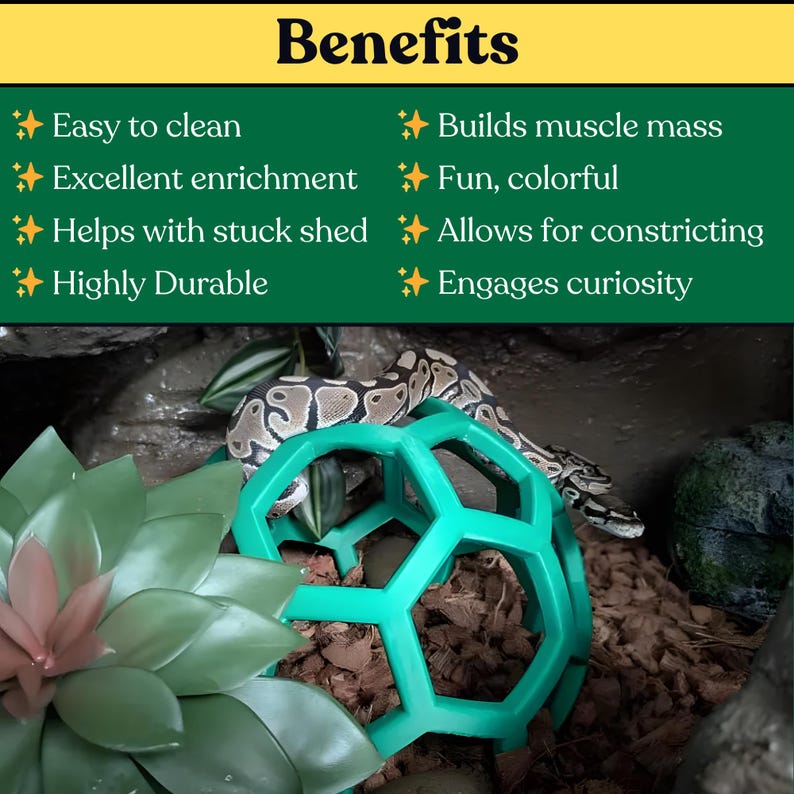 Python Playground: Snake & Boa Constrictor Enrichment Jungle Gym Bild 3
