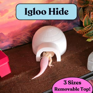 Snake Enrichment  | Igloo reptile Hide  | Cozy Arctic-Themed Terrarium Decor |