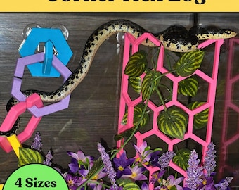 Snake Corner Hex Log: Reptile Climbing Enrichment