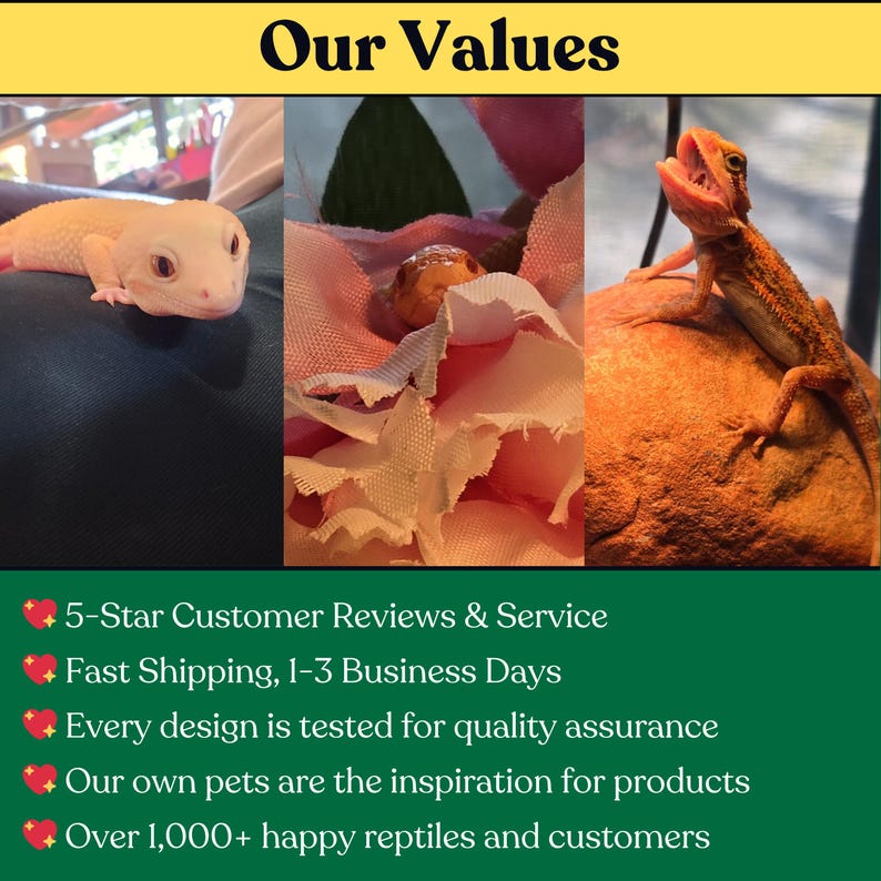 The XS Designs values graphic featuring handmade reptile enrichment products