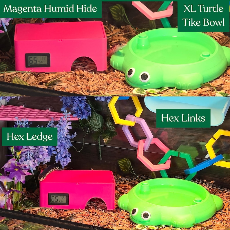 Magenta and green reptile humid hides with magnetic roof and pet-friendly feature labels
