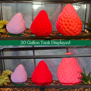 Pink and red strawberry reptile hides displayed together in three sizes