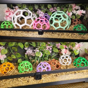 May include: A collection of hollow, spherical geometric climbing toys for small animals, featuring a honeycomb lattice structure in various colors including white, pink, mint green, orange, purple, and brown, arranged on wood chip bedding.
