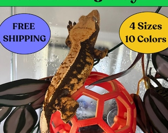 May include: A brown and black crested gecko climbing on a red, hexagonal, plastic jungle gym toy. The gecko is in a glass terrarium with green plants. The text "FREE SHIPPING" is in a blue circle on the left side of the image. The text "4 Sizes 10 Colors" is in a yellow circle on the right side of the image.