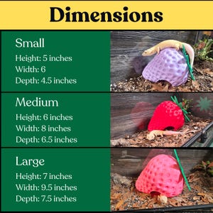 Strawberry snake hide dimensions chart for small, medium, and large sizes