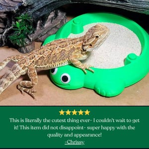 May include: A bearded dragon lizard rests on the edge of a bright green plastic turtle-shaped dish filled with light-colored sand. The dish features two large black and white googly eyes on the front, and the lizard has textured brown scales.