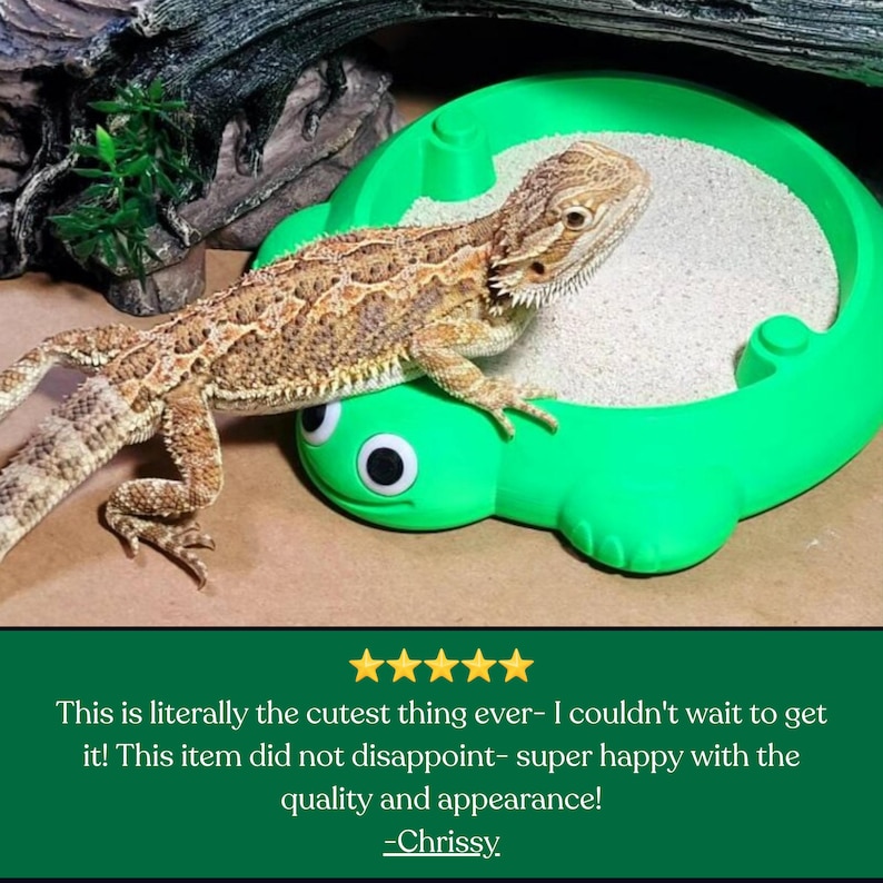 May include: A bearded dragon lizard rests on the edge of a bright green plastic turtle-shaped dish filled with light-colored sand. The dish features two large black and white googly eyes on the front, and the lizard has textured brown scales.