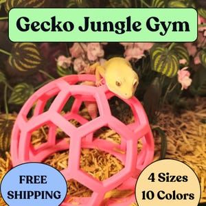 Fat Tailed Gecko Lizard Reptile Enclosure Gargoyle gecko, Tokay Gecko, Climbing Enrichment, tank accessories | Jungle Gym | The XS Designs