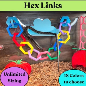 May include: A snake climbing on a series of interlocking hexagonal plastic links in blue, red, yellow, pink, and green, attached to a clear surface with suction cups. A light blue cloud-shaped platform is positioned in the center of the links.